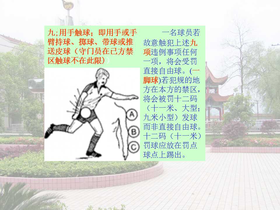 29.jpg