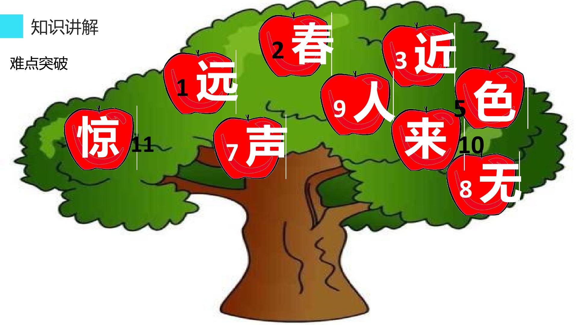 24.jpg