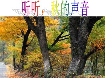 听听，秋的声音_课件2