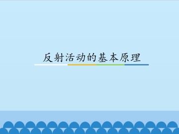 反射活动的基本原理_课件1