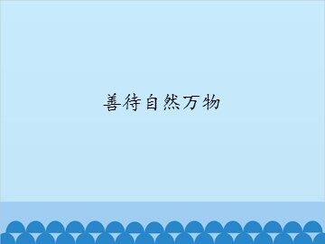 善待自然万物_课件1