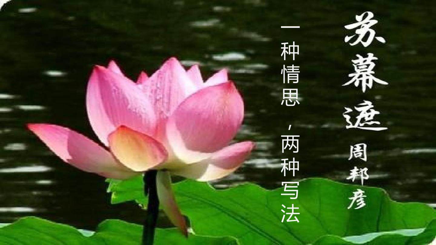苏幕遮 周邦彦