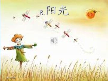 8 阳光