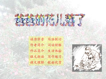 爸爸的花儿落了_课件21