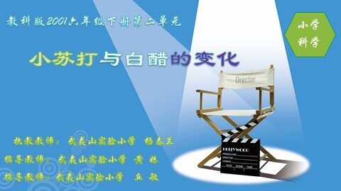 杨春兰 《小苏打和白醋的变化》课件