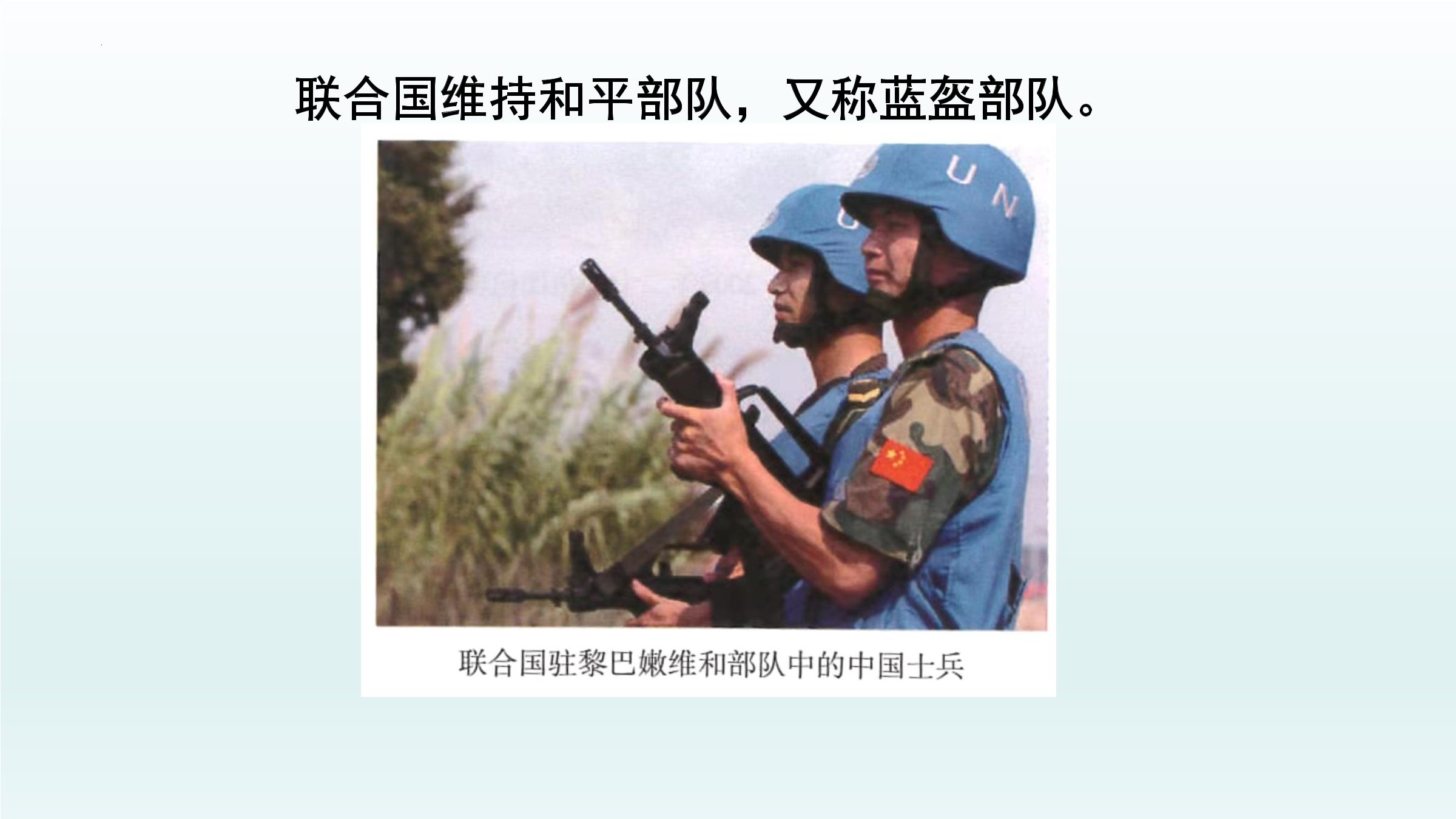 12.jpg