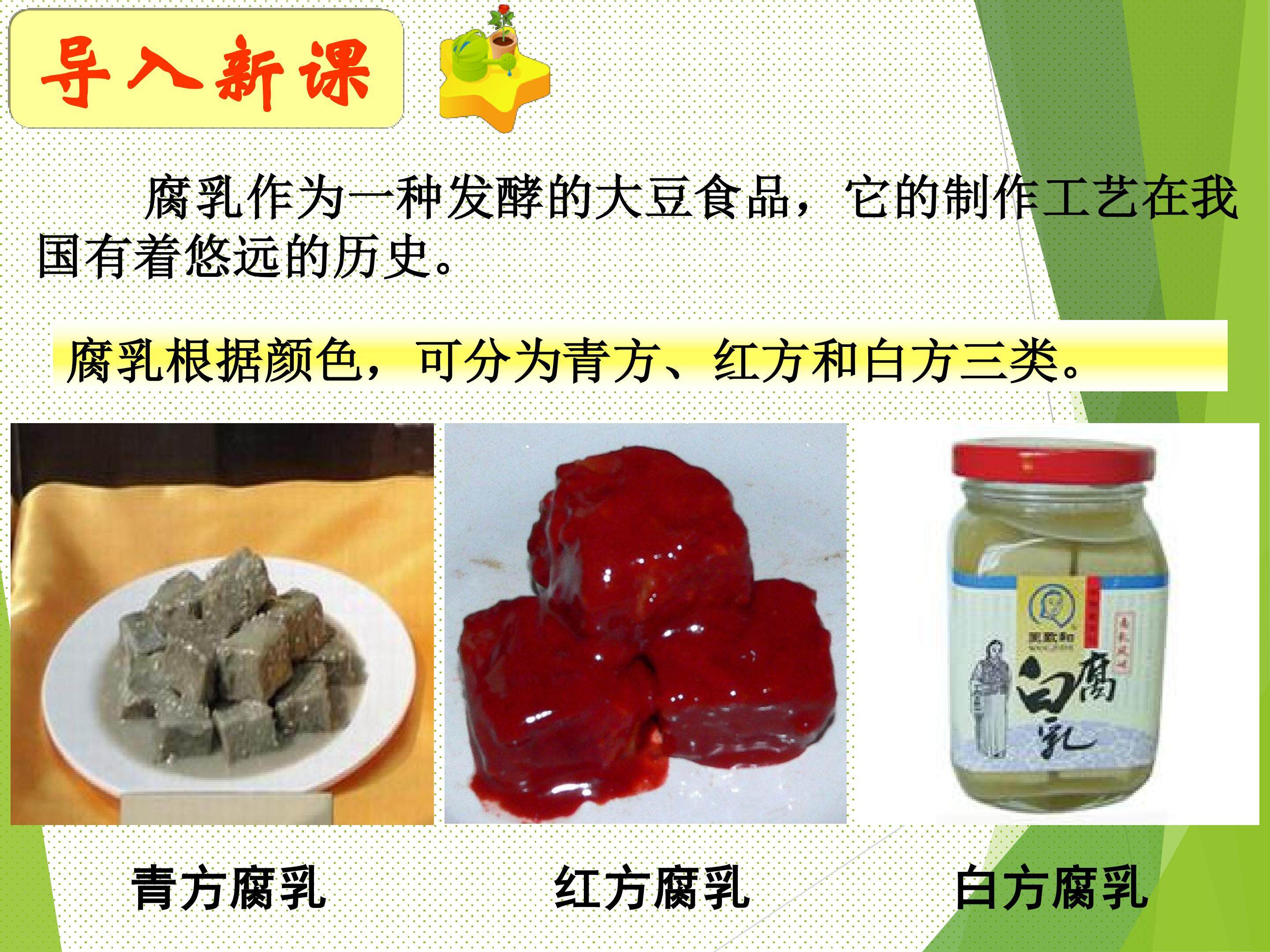 腐乳的制作_课件1