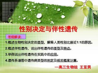 《性别决定与伴性遗传》PPT