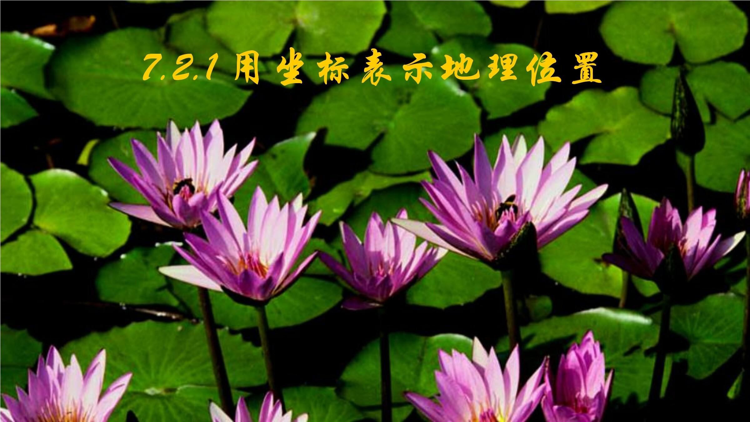 用坐标表示地理位置