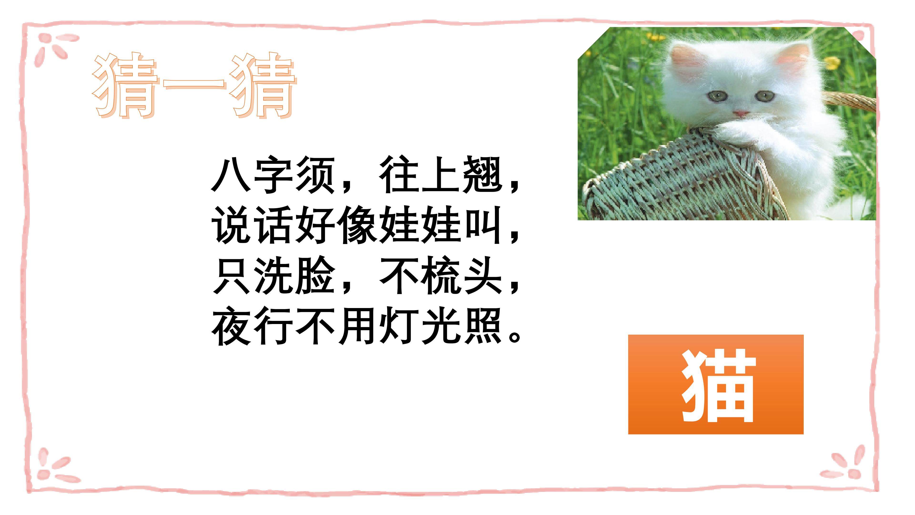 《猫》
