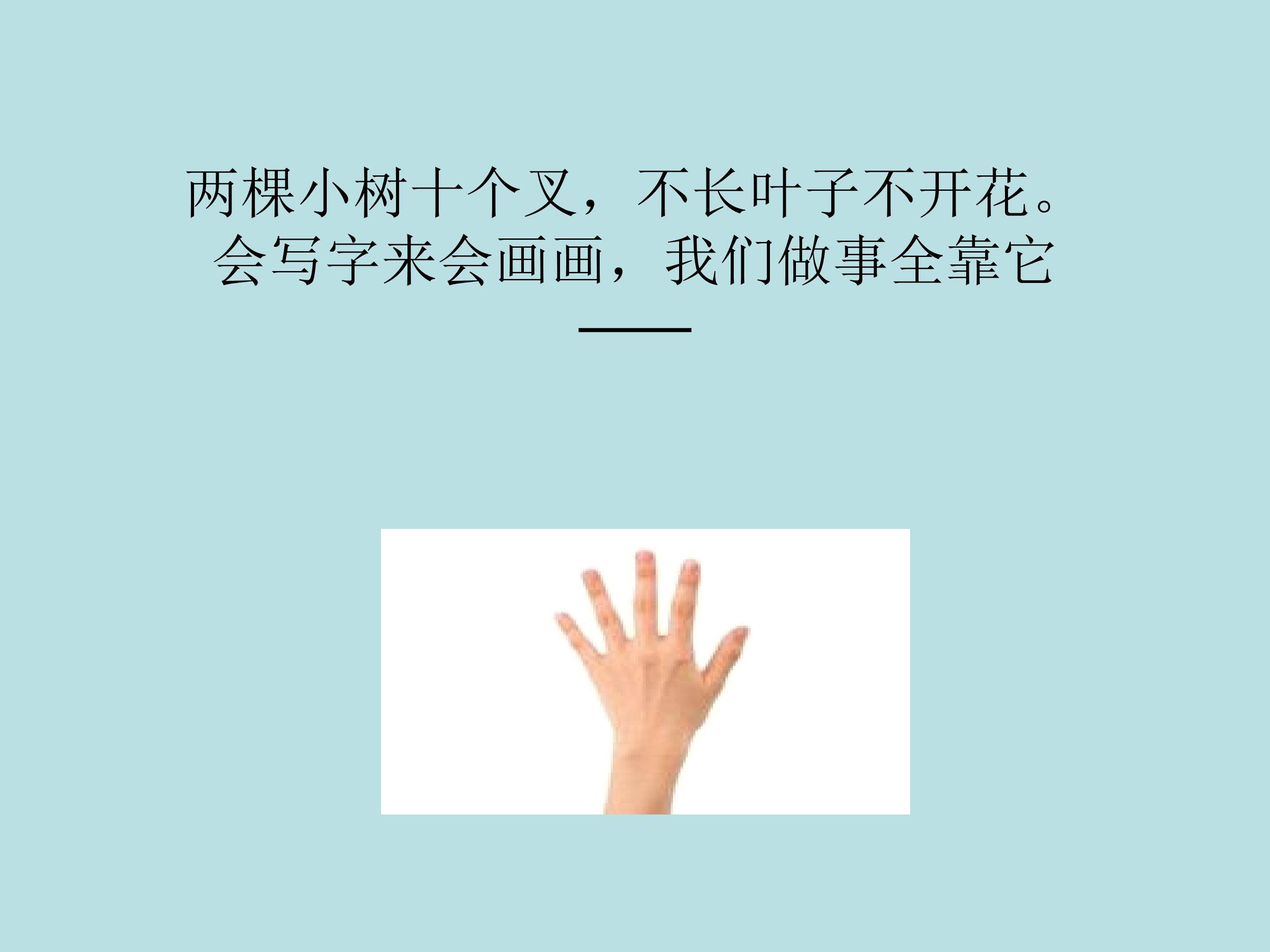 我的手印画