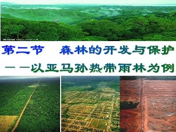 第二节 森林的开发和保护——以亚马孙热带雨林为例