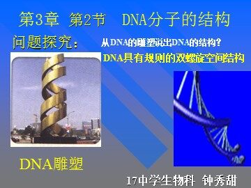 生物高中必修2第三章第二节课件6