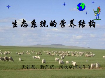 生态系统的营养结构_课件1