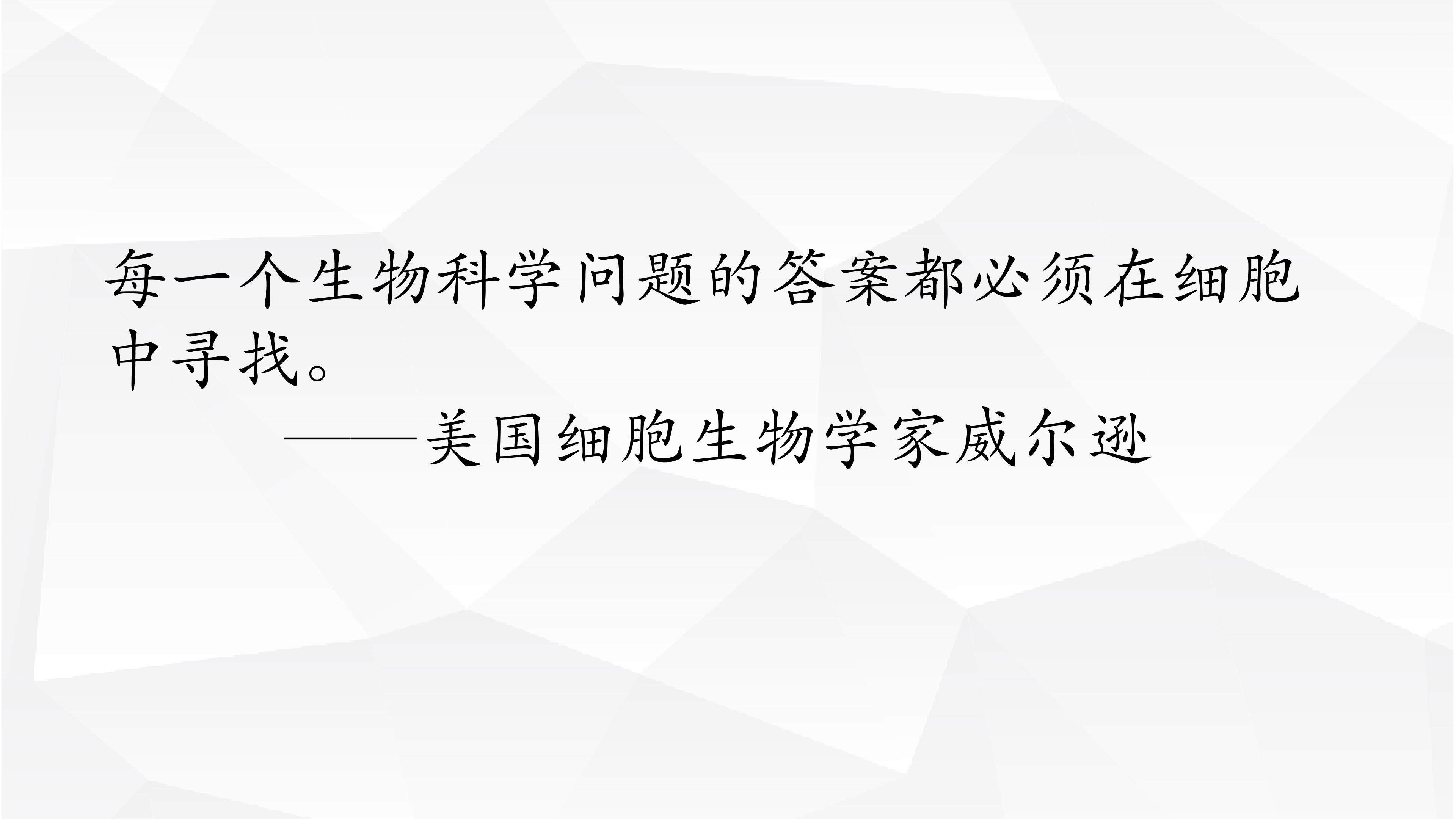 《从生物圈到细胞》多媒体课件