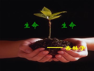 19 生命 生命