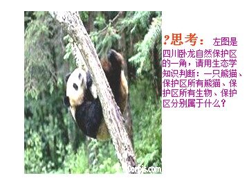 生物高中必修3第五章第一节课件20