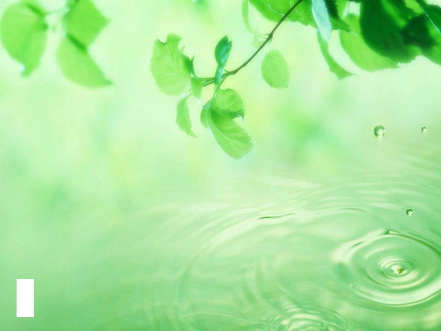 倒数的认识