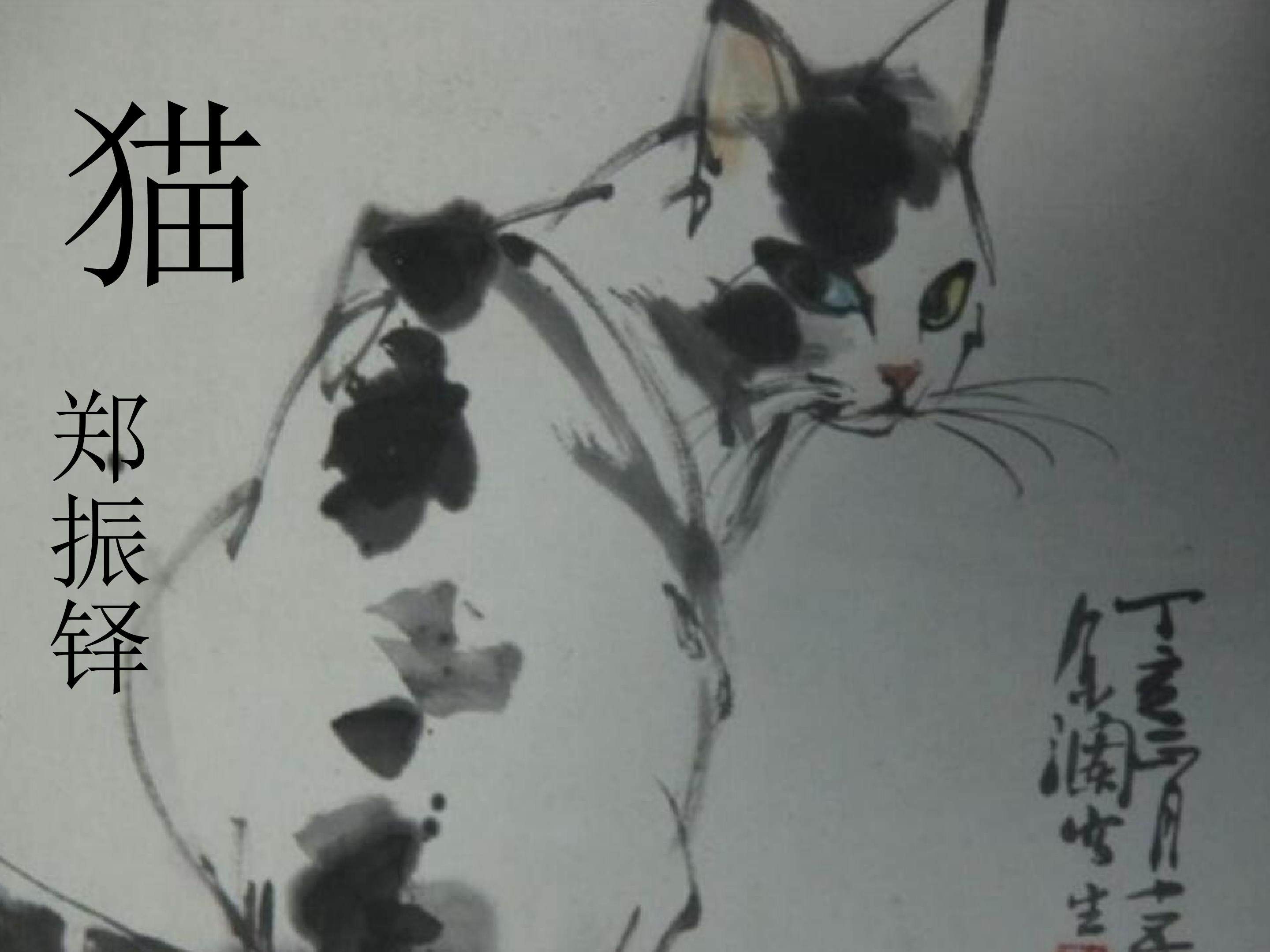 《猫》ppt