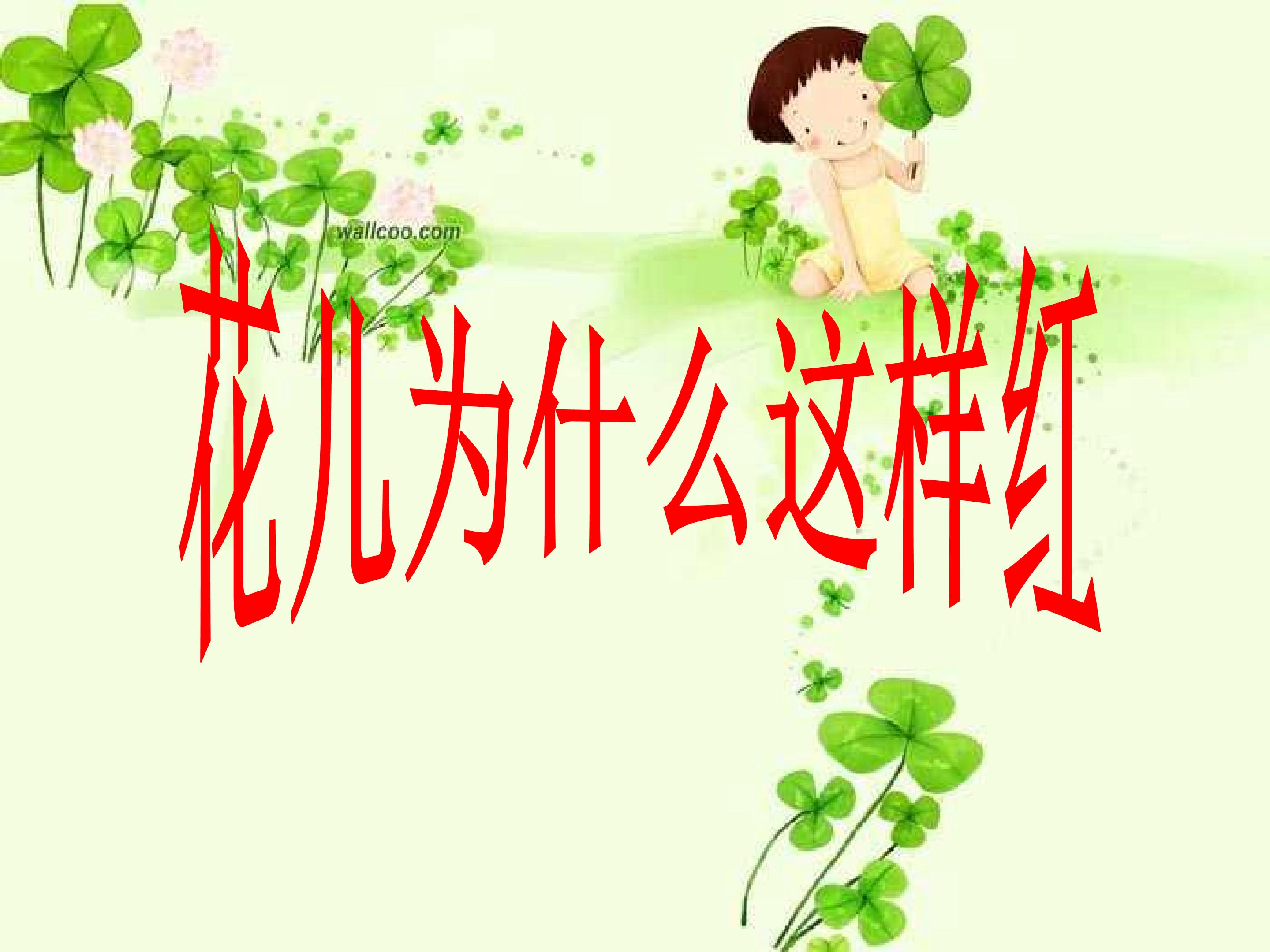 花儿为什么这样红