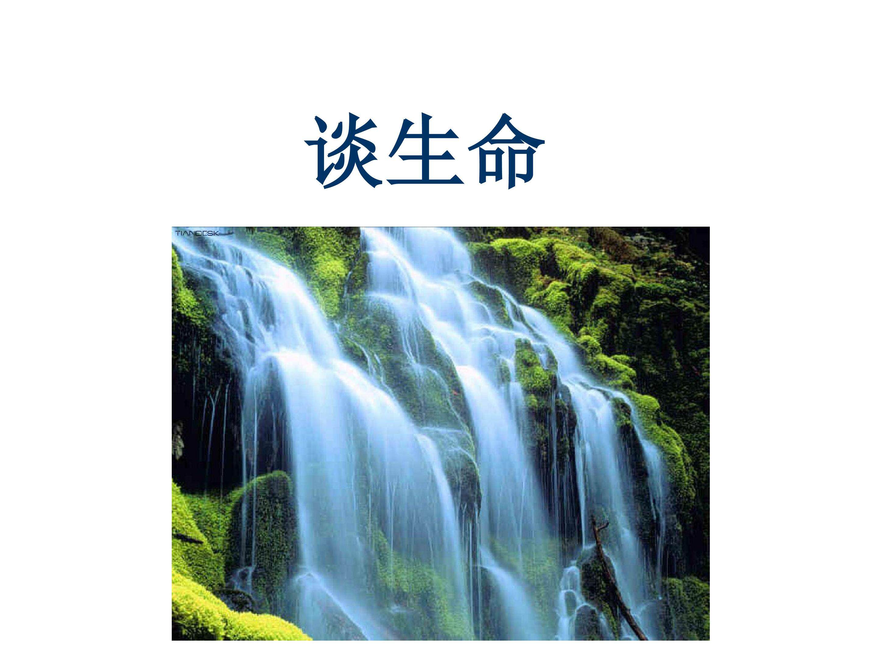 谈生命_课件3