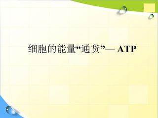 细胞的能量“通货”-ATP