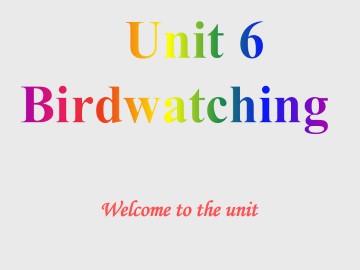 Unit 6 Birdwatching_课件1