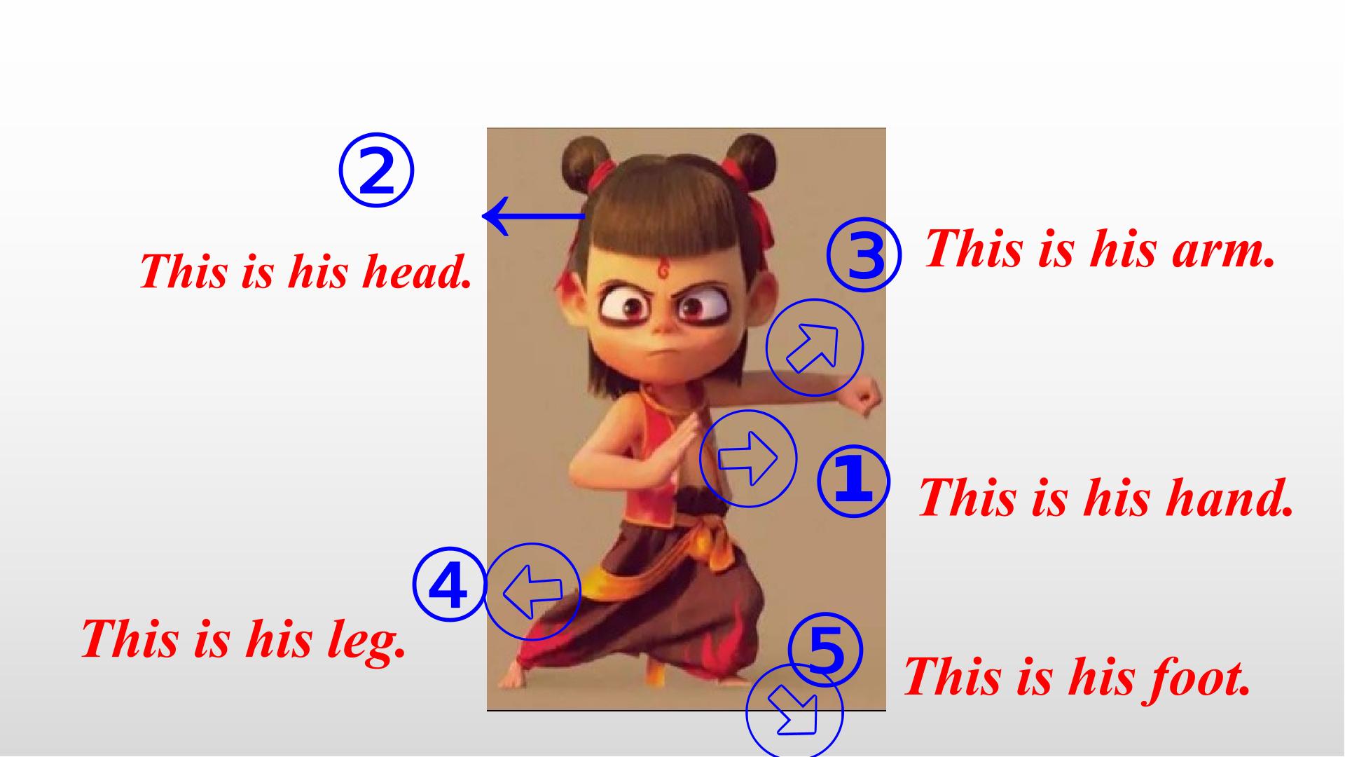 17.jpg