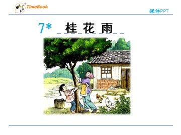 7* 桂花雨