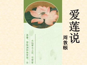 25 短文两篇