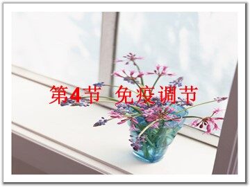 生物高中必修3第二章第四节课件15