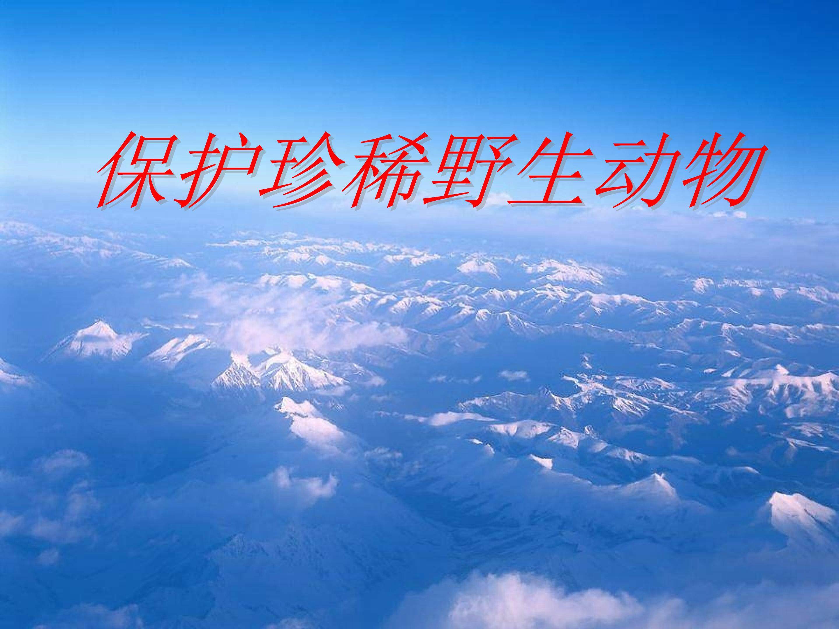 保护珍稀野生动物