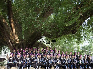 小山羊_课件1