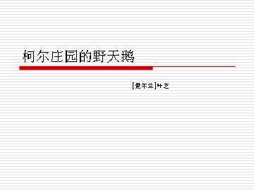 柯尔庄园的野天鹅_课件1
