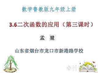 二次函数的应用(第三课时)