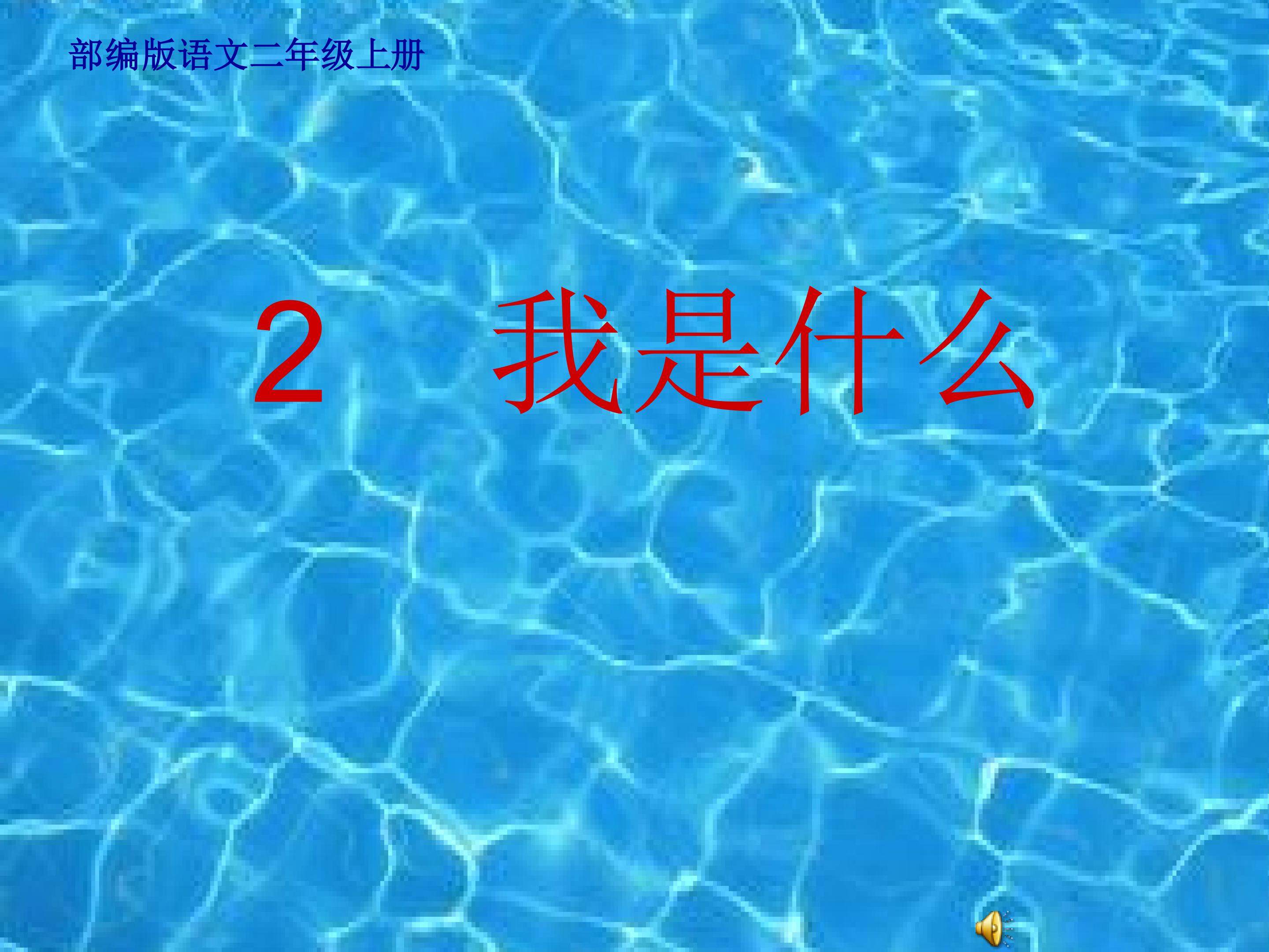 我是什么