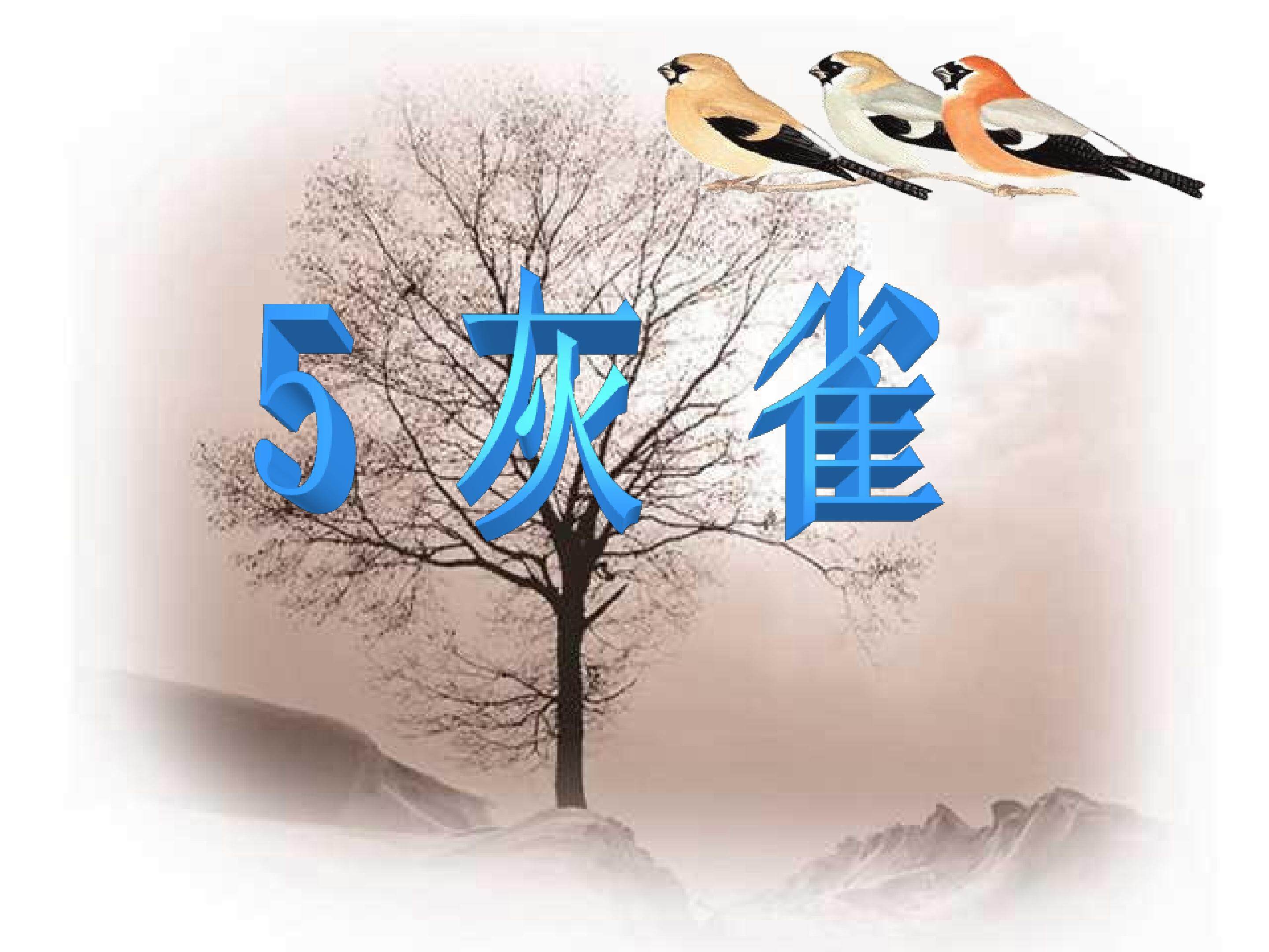 灰雀