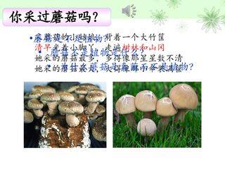 《第三节 真菌》