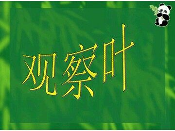 3．观察叶
