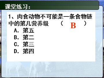 生物高中必修3第五章第二节课件14