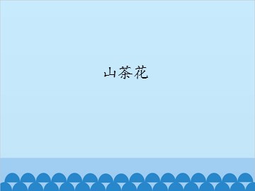 山茶花_课件1