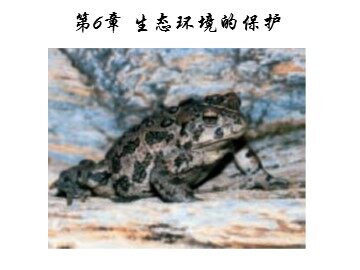 生物高中必修3第六章课件