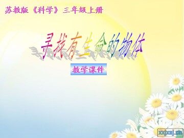 1. 寻找有生命的物体