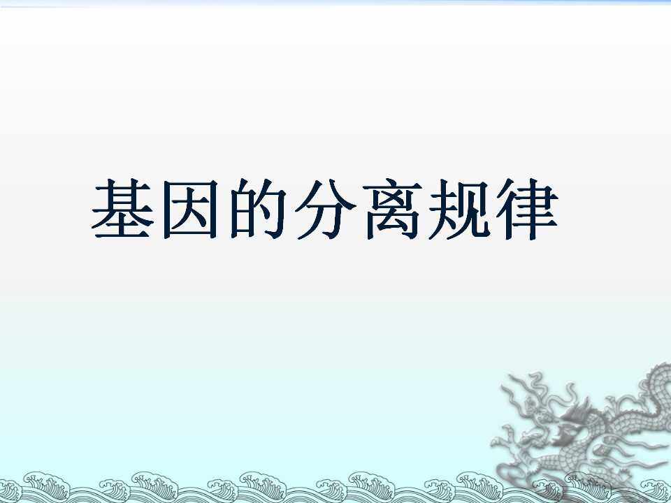 基因的分离规律