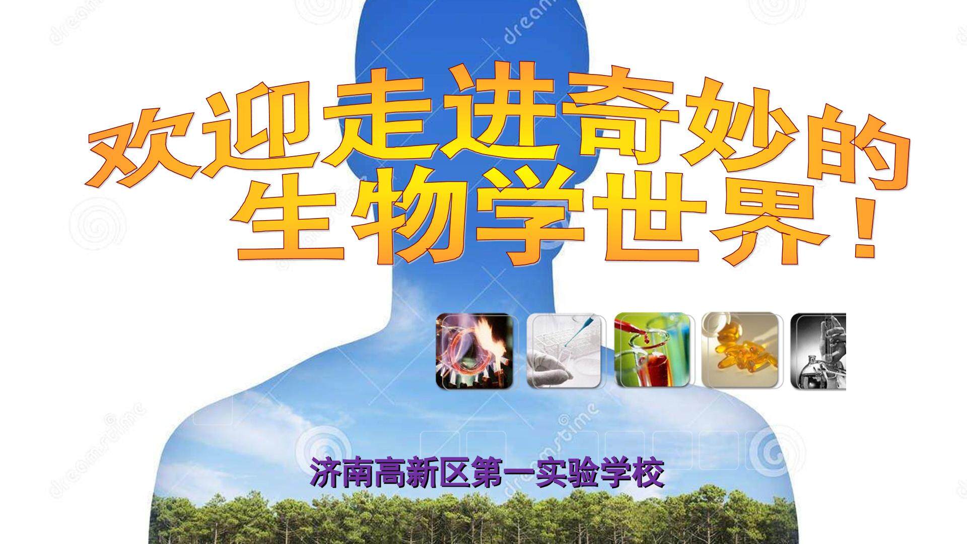 第一节　人体与外界的气体交换