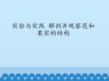 实验与实践 解剖并观察花和果实的结构_课件1