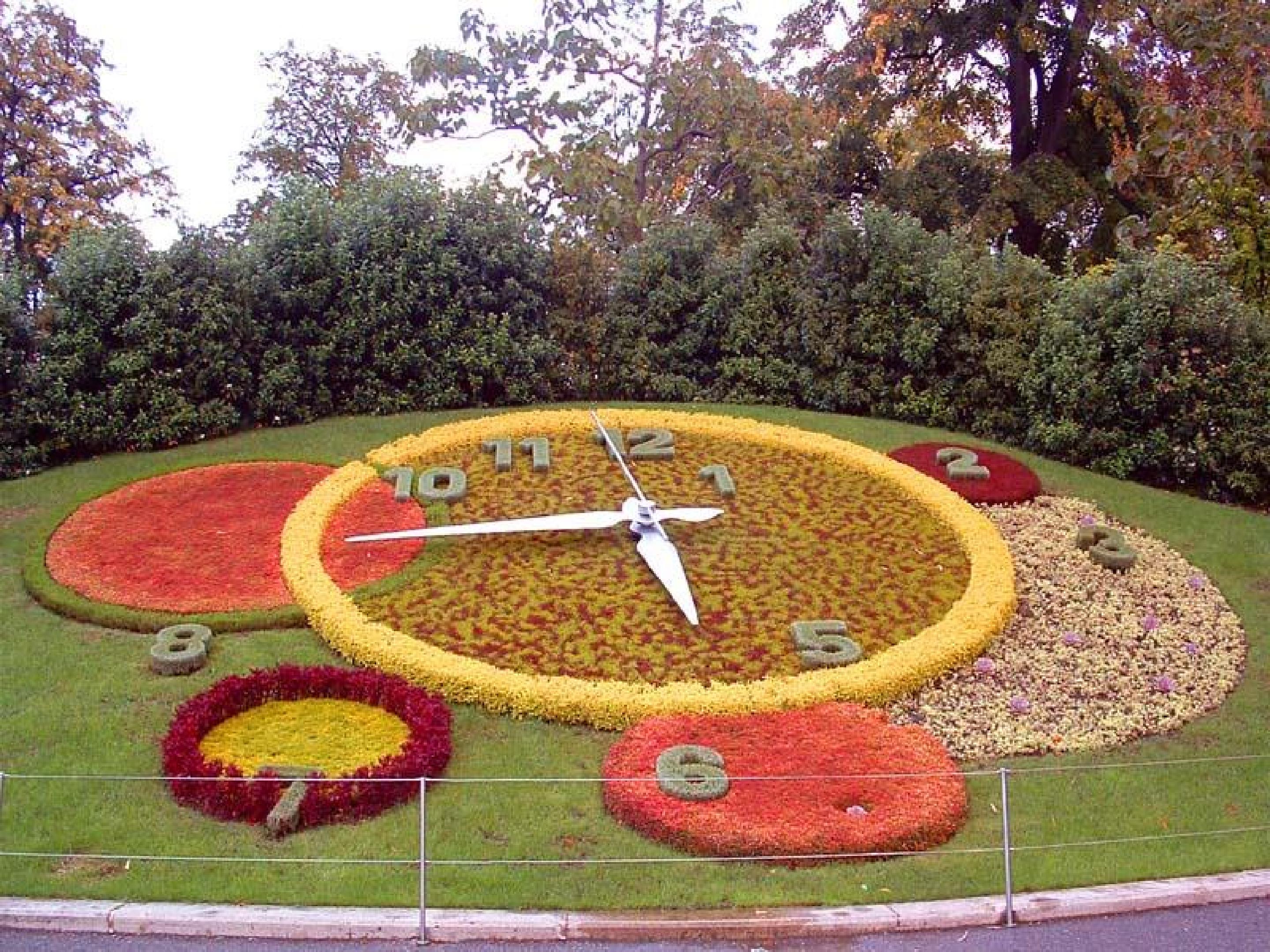 39.jpg
