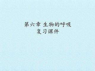 第六章 生物的呼吸 复习课件
