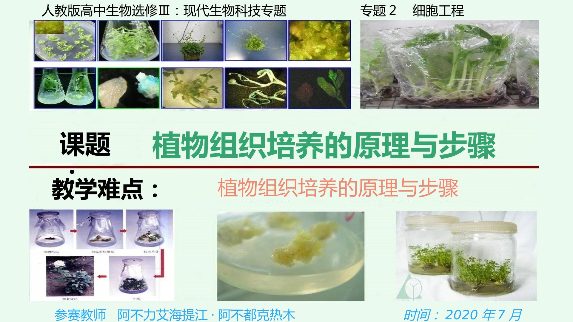 植物组织培养的原理与步骤