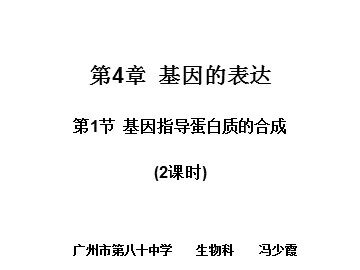 生物高中必修2第四章第一节课件5